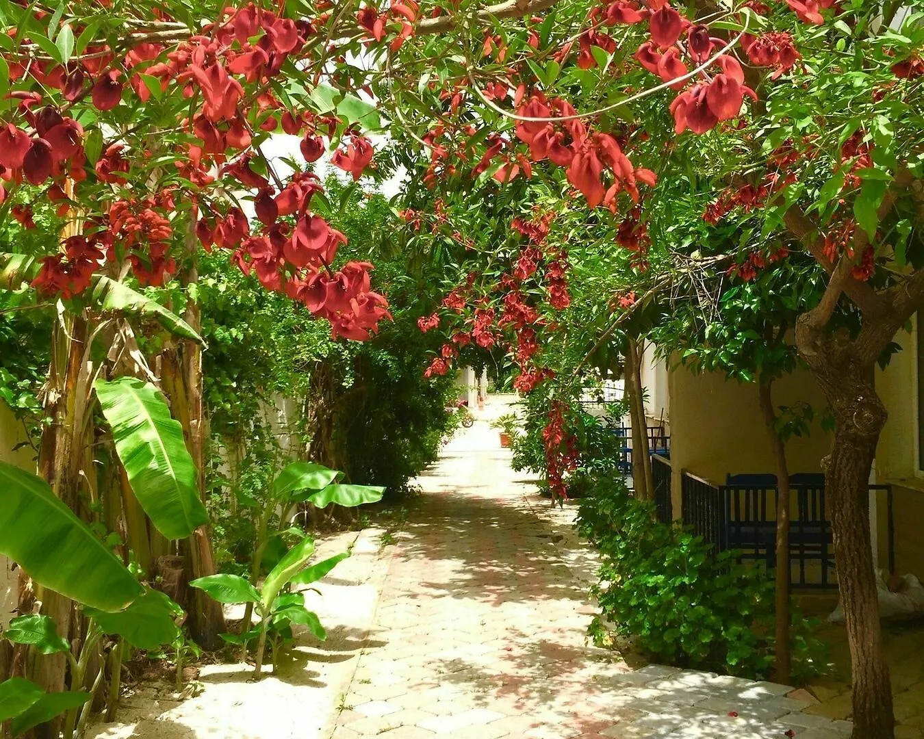 Hotel apartamentowy Dove Apart Hotel Fethiye