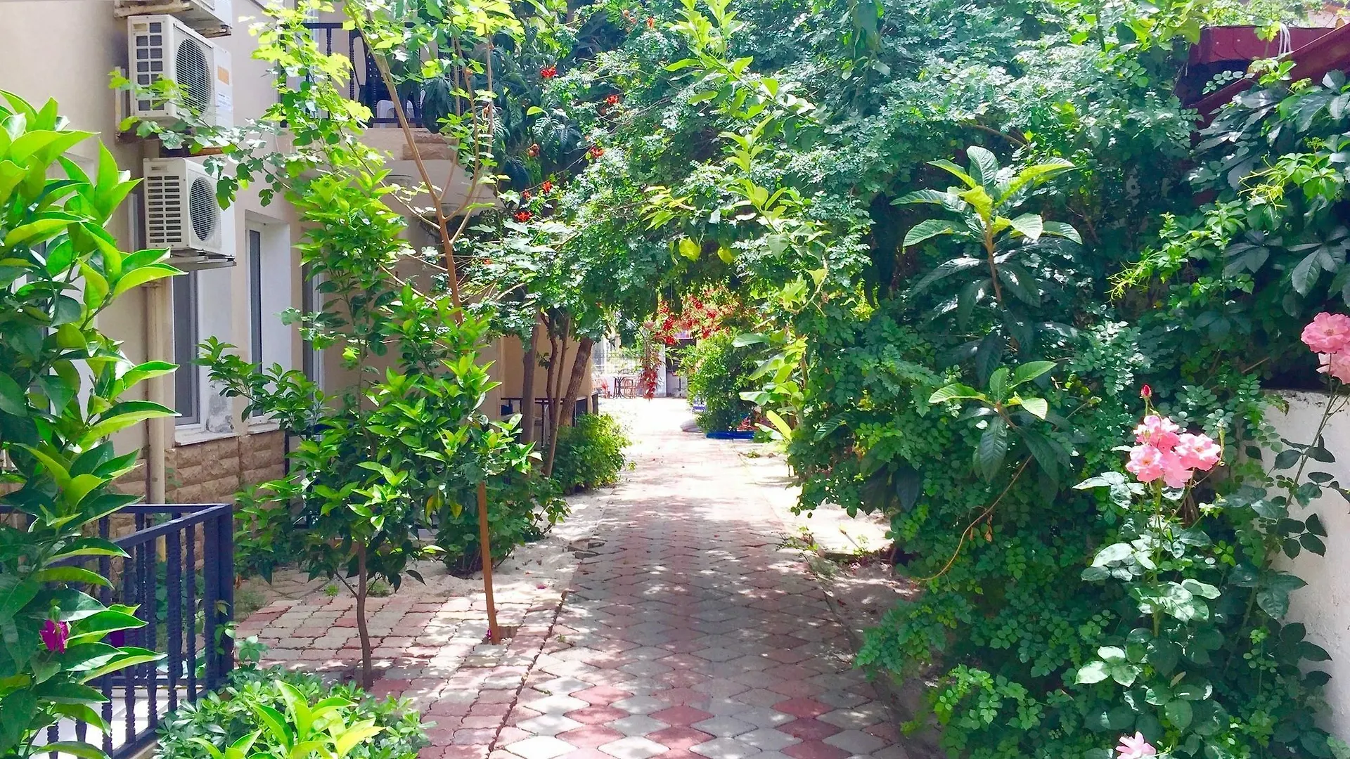 Hotel apartamentowy Dove Apart Hotel Fethiye